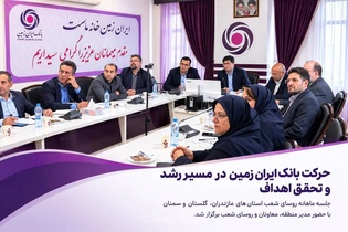 بررسی عملکرد شعب بانک ایران زمین در سه استان