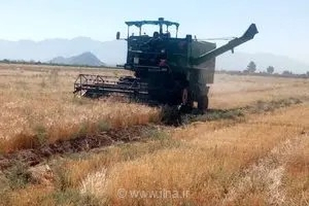 پایان موفقیت‌آمیز برداشت محصولات شتوی در نی‌ریز؛ ثبت رکورد ۲۵۵۰ تن گندم و جو در مزارع این شهرستان