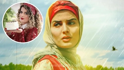تولد غزاله اکرمی، بازیگر سریال «سوجان» در رستوران لوکس تهران