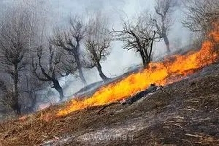 پایان عملیات نفس‌گیر مهار آتش‌سوزی در ارتفاعات سرکش گیلانغرب با مشارکت نیروهای امدادی و مردمی