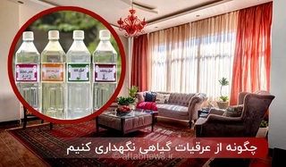 اصول طلایی نگهداری از عرقیات گیاهی؛ چگونه خواص درمانی و کیفیت گلاب و عرقیات را حفظ کنیم؟