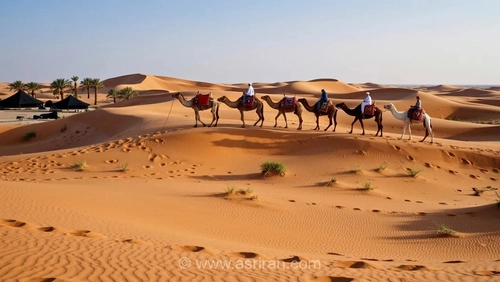 تصاویری دیدنی از کاروان شترها در میان بارش باران در دبی