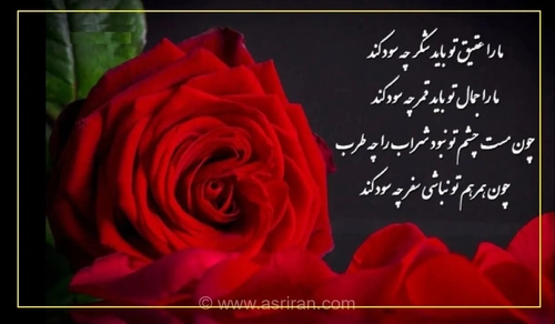 امروز با مولوی: چو هَمرهَم تو نباشی، سفر چه سُود کند