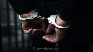 بازداشت ۴۴ متخلف ارزی و رفع تعهد ۸.۵ میلیارد یورویی