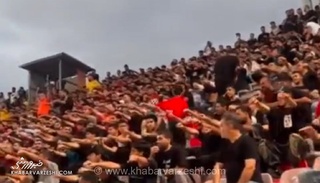 ویدیو| وایکینگ‌ها در وطنی قائمشهر!
