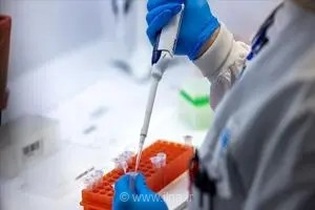 شیوع تب دنگی به سطح اپیدمی رسیده است