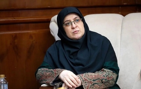 مهاجرانی: همراهی مردم برای عبور از ناترازی انرژی ضروری است