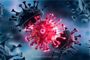 زنگ خطر کرونا در زنجان؛ پیش‌بینی اوج‌گیری مجدد بیماری‌های تنفسی