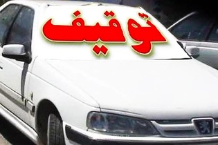 توقیف ۳۴ خودروی متخلف در طرح آرامش پلیس دلفان