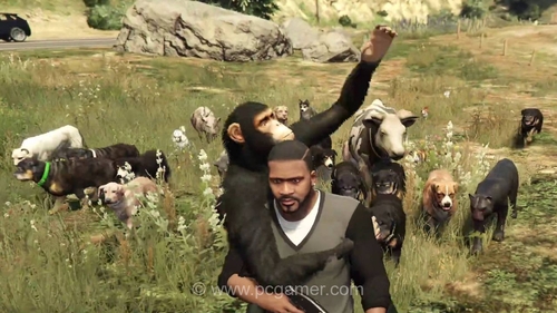 گیمر: من تعدادی سگ، چند گاو، دو شیر و یک شامپانزه به GTA 5 اضافه کردم و همه آن‌ها دوستان من هستند