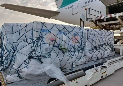 تحریم‌های اقتصادی آمریکا نقض حقوق بشر و تهدیدی برای بیماران