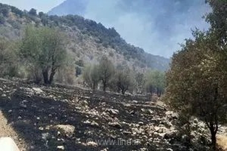 مهار آتش‌سوزی گسترده در منطقه حفاظت شده شاهو و کوسالان سروآباد پس از ۱۰ ساعت تلاش