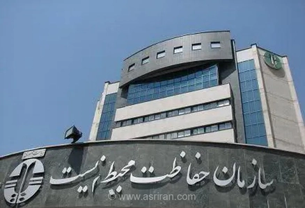 تعداد لاشه‌های فوک خزری در سواحل گیلان تایید شد
