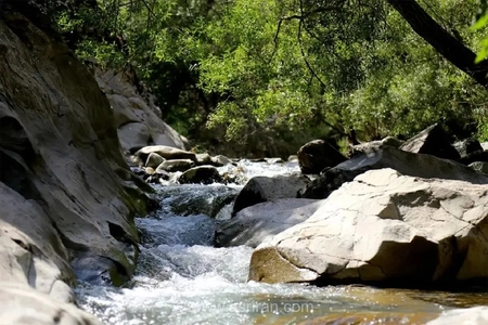 چال ماهی تهران: راهنمای سفر یک روزه به بهشتی نزدیک پایتخت