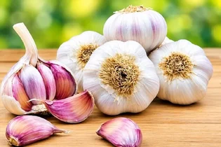 سیر و خواص دارویی آن: از خواص ضدمیکروبی تا محافظت از قلب