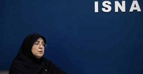 سخنگوی دولت: تحریف تاریخ نمی‌تواند از شکوه ملت ایران بکاهد