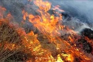 حادثه آتش‌سوزی در بخش‌هایی از مراتع ملی پلاک آمره شهرستان کمیجان