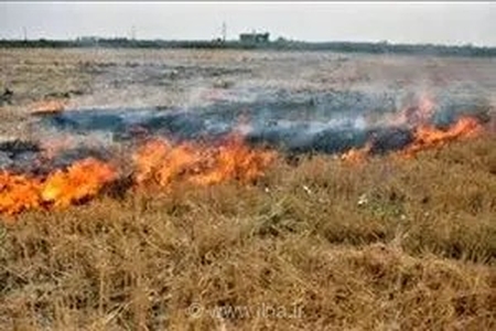 هشدار جدی پلیس راه مازندران؛ آتش زدن کاه و کلش در حاشیه جاده‌ها حادثه‌ساز شد و پیگرد قانونی دارد