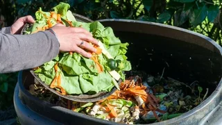 ۷ راهکار عملی برای کاهش ضایعات غذا در خانه