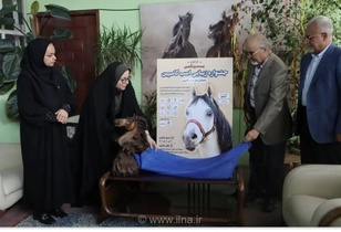 رونمایی از پوستر بیست و یکمین جشنواره زیبایی و همایش ملی اسب کاسپین در منطقه آزاد انزلی