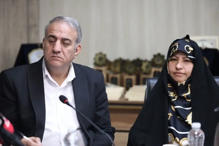 تکمیل زنجیره ارزش مشاغل خانگی، راهکاری برای پایداری اشتغال زنان
