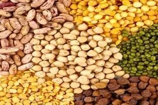 جدیدترین نرخ‌نامه حبوبات بسته‌بندی در میادین میوه و تره‌بار شهرداری تهران اعلام شد