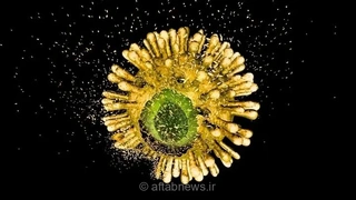 امید تازه برای بیماران مبتلا به HIV؛ داروی جدید VH-۴۹۹ اولین آزمایش انسانی را با موفقیت پشت سر گذاشت