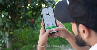 بهای سنگین قمار آنلاین در هند: خانواده‌ها در بحران بدهی و مرگ