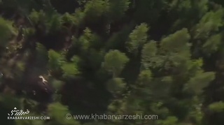 معجزه در رالی فنلاند؛ سباستین اوژیه، قهرمان جهان، از تصادف هولناک و مرگبار جان سالم به در برد