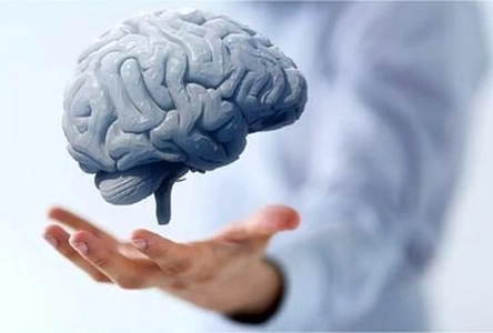 ۴ راه ساده برای حفظ سلامت مغز و عملکرد ذهنی