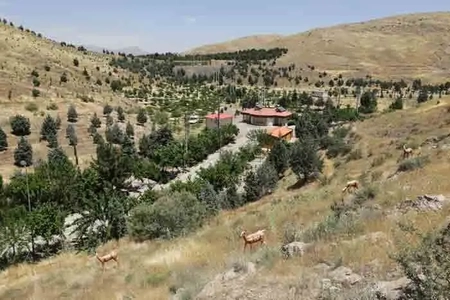 مهار آتش‌سوزی در پارک ملی خجیر با همکاری محیط‌بانان و اهالی
