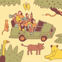 راهنمای جامع برنامه‌ریزی برای یک سفر هیجان‌انگیز به حیات‌وحش آفریقا؛ از بودجه‌بندی تا انتخاب بهترین زمان سفر