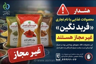 پودرهای ادویه و فرآورده‌های غذایی با نام تجاری «فربد نگین » غیرمجاز هستند