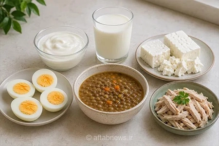 غذاهای مناسب برای حفظ سلامت سالمندان
