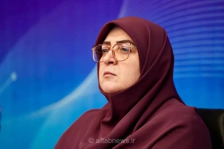 مهاجرانی: دولت بازسازی مناطق آسیب دیده را در دستور کار قرار داده‌است