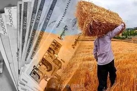 وعده استانداری گلستان برای تسویه فوری مطالبات گندم‌کاران؛ بیش از ۲۴ هزار میلیارد تومان همچنان باقی است