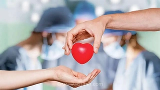 بحران در اهدای عضو؛ هدررفت سالانه ۸ هزار عضو حیاتی و سقوط جایگاه ایران در آسیا