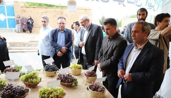 تلاش برای ثبت جهانی روستای درسجین همزمان با جشنواره انگور