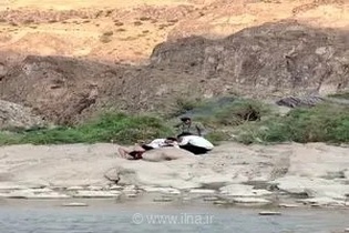 نجات جان طبیعت‌گرد در منطقه حفاظت‌شده دربند مشکول با اقدام به‌موقع محیط‌بانان