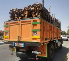 توقیف ۲۳ تن چوب قاچاق در فارس و دستگیری ۷ متخلف