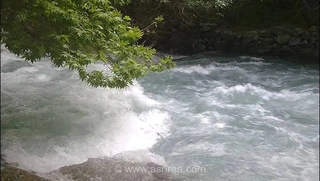 فرار نافرجام سارق خودرو به رودخانه هراز؛ عملیات نفس‌گیر پلیس مازندران برای نجات جان متهم از غرق‌شدگی