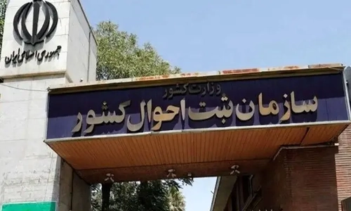 بیش از ۲۴ میلیون زن ایرانی تجربه مادری دارند