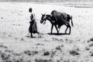 چشم‌انداز اردوی سلطنتی در «رباط کریم»؛ 135 سال قبل