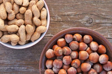 فندق یا بادام‌زمینی؛ کدام برای کاهش کلسترول بهتر است؟