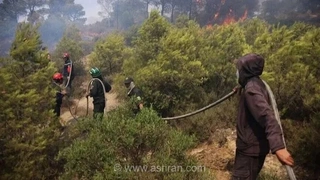 آتش‌سوزی گسترده در الجزایر؛ ۱۲ کشته و ۵۴ زخمی