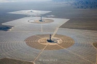 مرگ هزاران پرنده در نیروگاه خورشیدی ایوانپا؛ تهدیدی برای حیات وحش