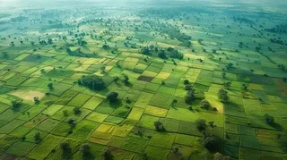بررسی رفع تداخل ۳۴ هزار هکتار از اراضی کشاورزی غرب کرخه