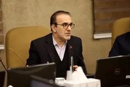 ظرفیت ایران برای نقش‌آفرینی در بازتوانی ورزشکاران پارالمپیک بالا است