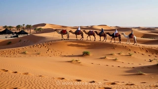 تصاویری دیدنی از کاروان شترها در میان بارش باران در دبی