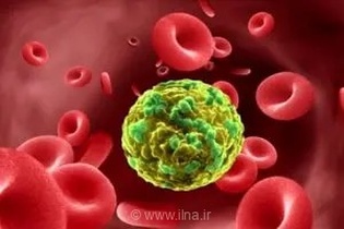 برپایی پویش «هیچ‌کس تنها نیست» برای پیشگیری از سرطان در قزوین